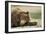 Sleeping Brown Bear, Katmai National Park, Alaska-Paul Souders-Framed Photographic Print