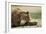 Sleeping Brown Bear, Katmai National Park, Alaska-Paul Souders-Framed Photographic Print