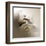 Sleeping Buddha-Christine Ganz-Framed Art Print