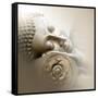 Sleeping Buddha-Christine Ganz-Framed Stretched Canvas