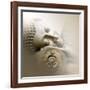 Sleeping Buddha-Christine Ganz-Framed Art Print