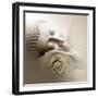 Sleeping Buddha-Christine Ganz-Framed Art Print