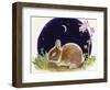 Sleeping Bunny-Judy Mastrangelo-Framed Giclee Print