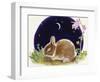 Sleeping Bunny-Judy Mastrangelo-Framed Giclee Print