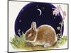 Sleeping Bunny-Judy Mastrangelo-Mounted Giclee Print