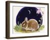 Sleeping Bunny-Judy Mastrangelo-Framed Giclee Print