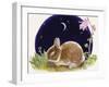 Sleeping Bunny-Judy Mastrangelo-Framed Giclee Print