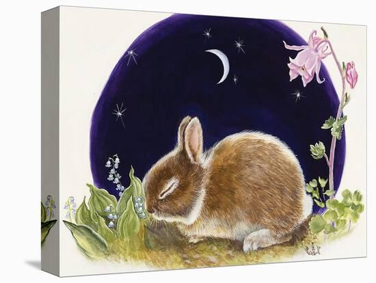 Sleeping Bunny-Judy Mastrangelo-Stretched Canvas