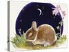 Sleeping Bunny-Judy Mastrangelo-Stretched Canvas