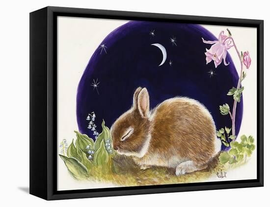 Sleeping Bunny-Judy Mastrangelo-Framed Stretched Canvas