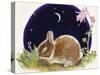 Sleeping Bunny-Judy Mastrangelo-Stretched Canvas