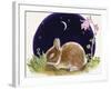 Sleeping Bunny-Judy Mastrangelo-Framed Giclee Print