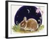 Sleeping Bunny-Judy Mastrangelo-Framed Giclee Print