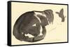 Sleeping cat, 1984-Claudia Hutchins-Puechavy-Framed Stretched Canvas