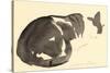 Sleeping cat, 1984-Claudia Hutchins-Puechavy-Stretched Canvas