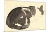 Sleeping cat, 1984-Claudia Hutchins-Puechavy-Mounted Giclee Print