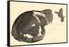 Sleeping cat, 1984-Claudia Hutchins-Puechavy-Framed Stretched Canvas
