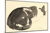 Sleeping cat, 1984-Claudia Hutchins-Puechavy-Mounted Giclee Print