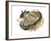 Sleeping cat, 1985-Claudia Hutchins-Puechavy-Framed Giclee Print