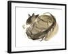 Sleeping cat, 1985-Claudia Hutchins-Puechavy-Framed Giclee Print