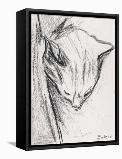 Sleeping Cat, 2015-Julie Held-Framed Stretched Canvas