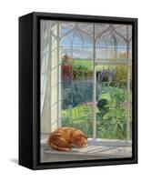 Sleeping Cat and Chinese Bridge-Timothy Easton-Framed Stretched Canvas