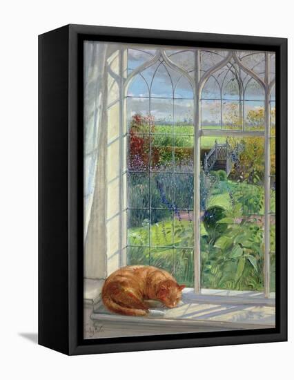 Sleeping Cat and Chinese Bridge-Timothy Easton-Framed Stretched Canvas