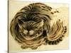 Sleeping Cat, Pub. C.1850-null-Stretched Canvas