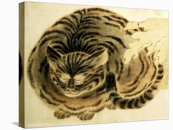 Sleeping Cat, Pub. C.1850-null-Stretched Canvas