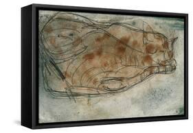 Sleeping Cat-Paul Klee-Framed Stretched Canvas