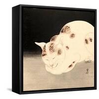 Sleeping Cat-Kyosai Kawanabe-Framed Stretched Canvas