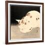 Sleeping Cat-Kyosai Kawanabe-Framed Giclee Print