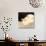 Sleeping Cat-Kyosai Kawanabe-Giclee Print displayed on a wall
