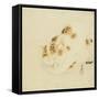 Sleeping Cat-Kawanabe Kyosai-Framed Stretched Canvas