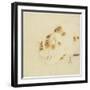 Sleeping Cat-Kawanabe Kyosai-Framed Premium Giclee Print