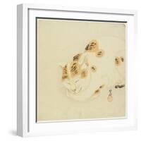 Sleeping Cat-Kawanabe Kyosai-Framed Giclee Print