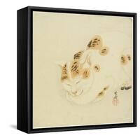 Sleeping Cat-Kawanabe Kyosai-Framed Stretched Canvas