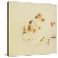 Sleeping Cat-Kawanabe Kyosai-Stretched Canvas