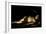 Sleeping Cupid, 1608-Caravaggio-Framed Giclee Print