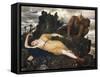 Sleeping Diana Watched by Two Fauns, 1877-Arnold Böcklin-Framed Stretched Canvas