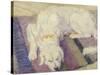 Sleeping Dog, 1909-Franz Marc-Stretched Canvas