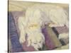Sleeping Dog, 1909-Franz Marc-Stretched Canvas