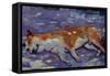 Sleeping Dog 2021 (oil)-Tilly Willis-Framed Stretched Canvas