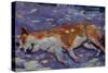 Sleeping Dog 2021 (oil)-Tilly Willis-Stretched Canvas