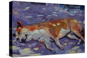 Sleeping Dog 2021 (oil)-Tilly Willis-Stretched Canvas