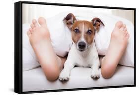 Sleeping Dog and Owner-Javier Brosch-Framed Stretched Canvas