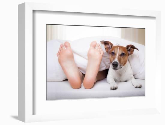 Sleeping Dog and Owner-Javier Brosch-Framed Photographic Print