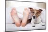 Sleeping Dog and Owner-Javier Brosch-Mounted Photographic Print