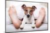 Sleeping Dog and Owner-Javier Brosch-Mounted Photographic Print