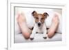 Sleeping Dog and Owner-Javier Brosch-Framed Photographic Print